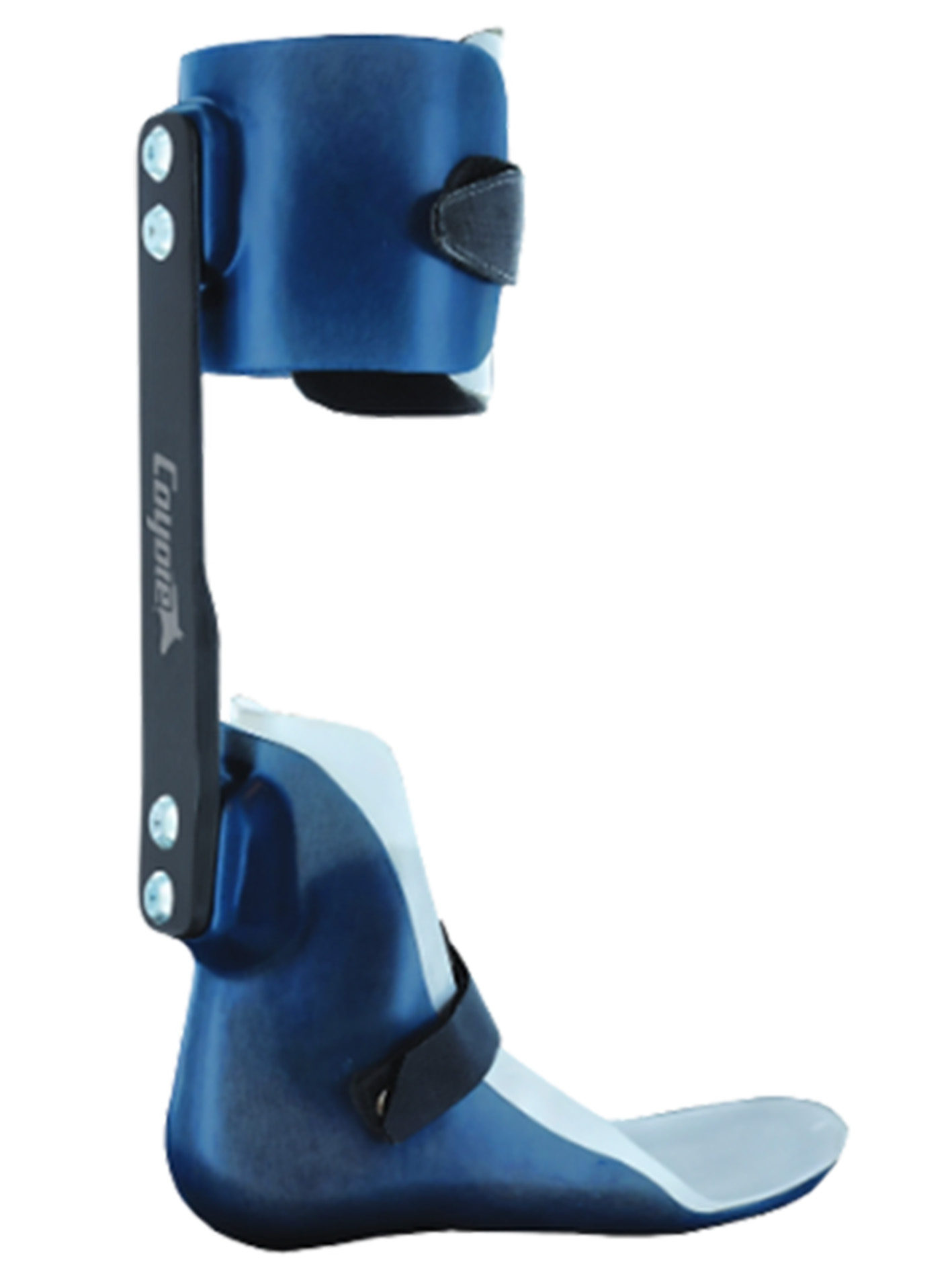 Coyote Dynamic Strut